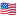 USA Flag